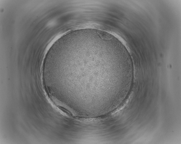 X0000072970949200608111713