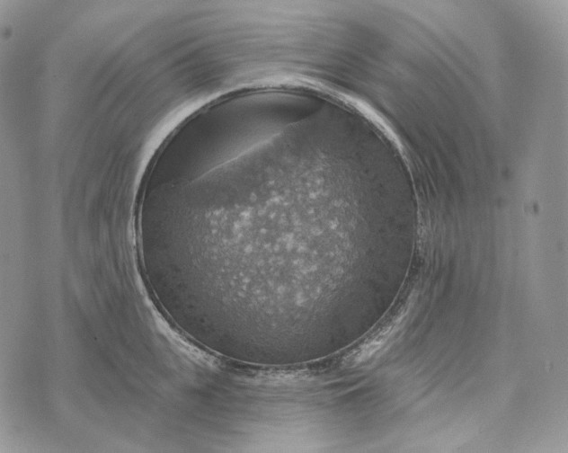 X0000072970951200608111713