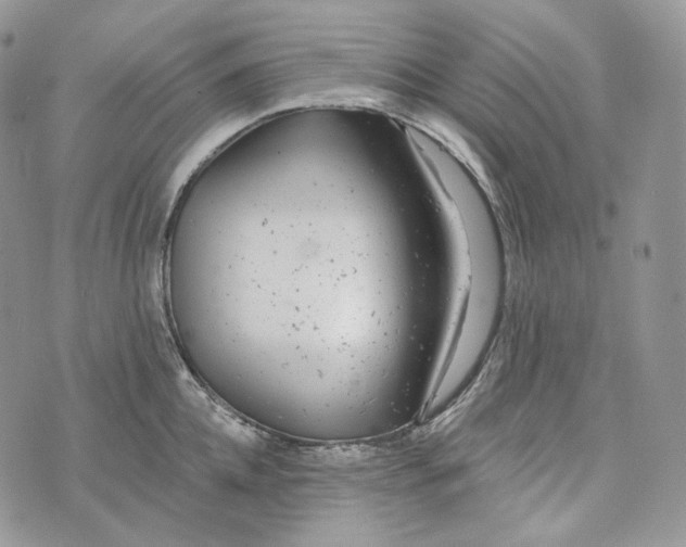 X0000072970952200608111713