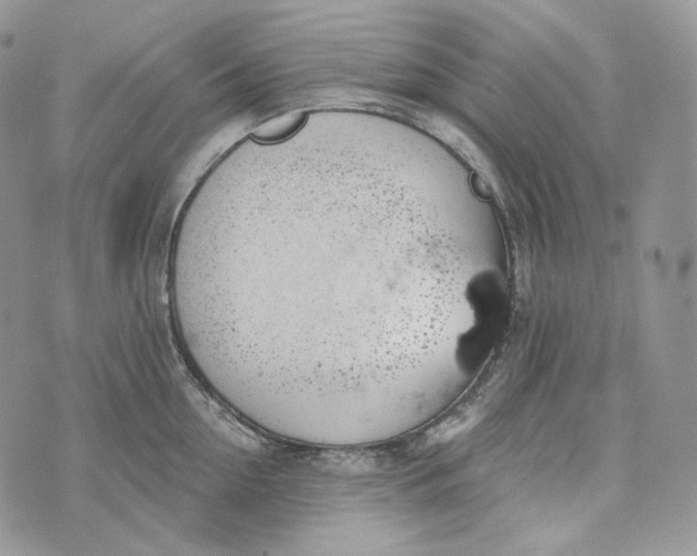 X0000072970954200608111713