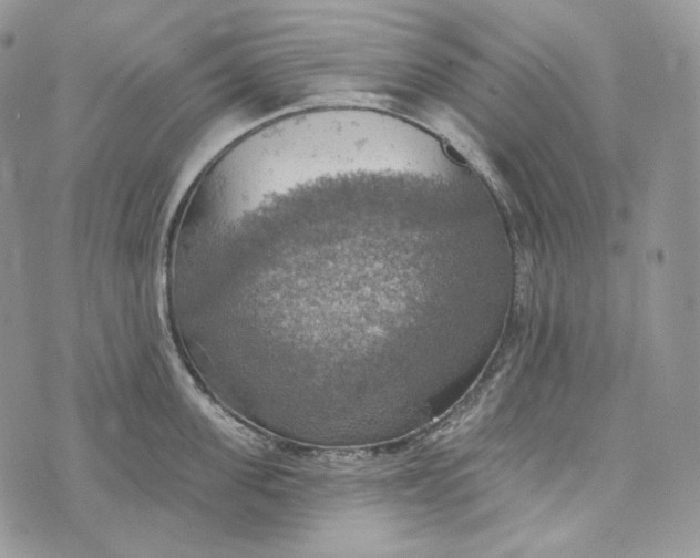 X0000072970955200608111713