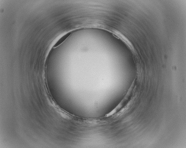 X0000072970956200608111713