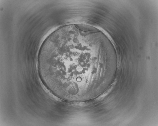 X0000072970957200608111713