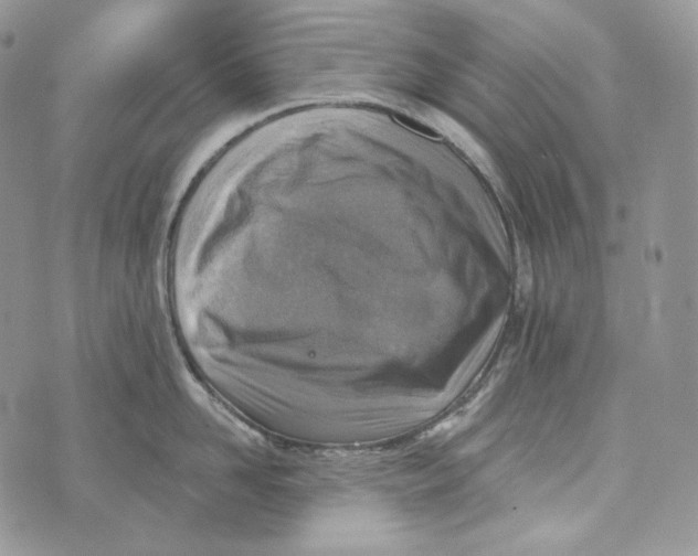 X0000072970958200608111713