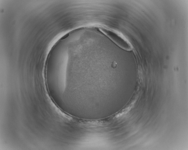 X0000072970959200608111713