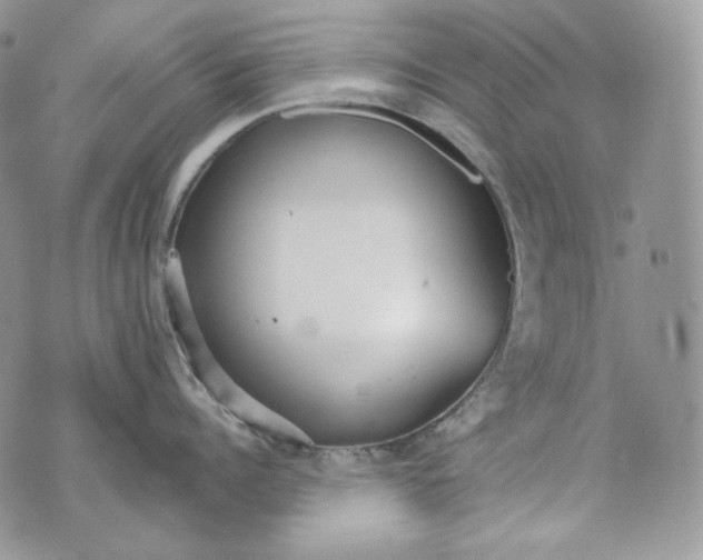 X0000072970960200608111713