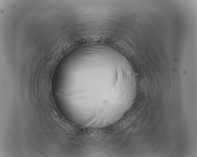 X0000072970961200608111712