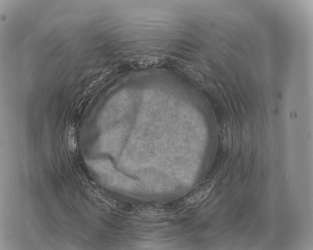 X0000072970962200608111712