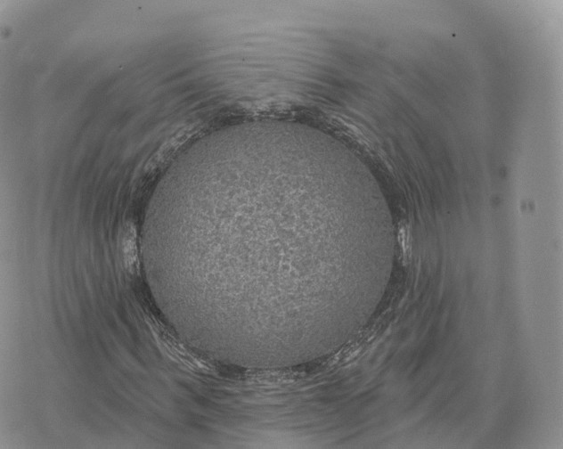 X0000072970963200608111712