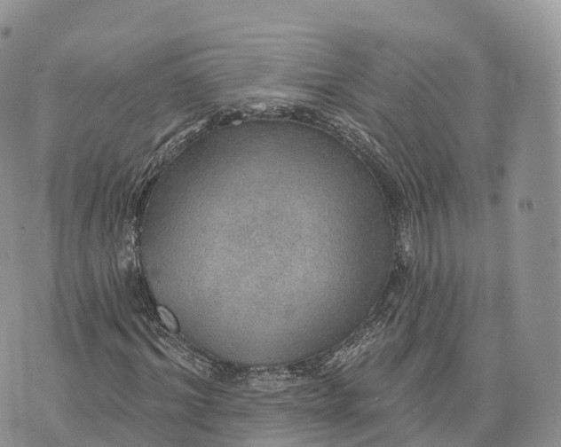 X0000072970964200608111712