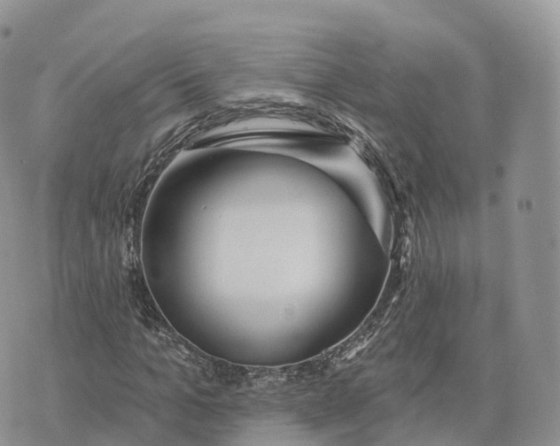 X0000072970965200608111712