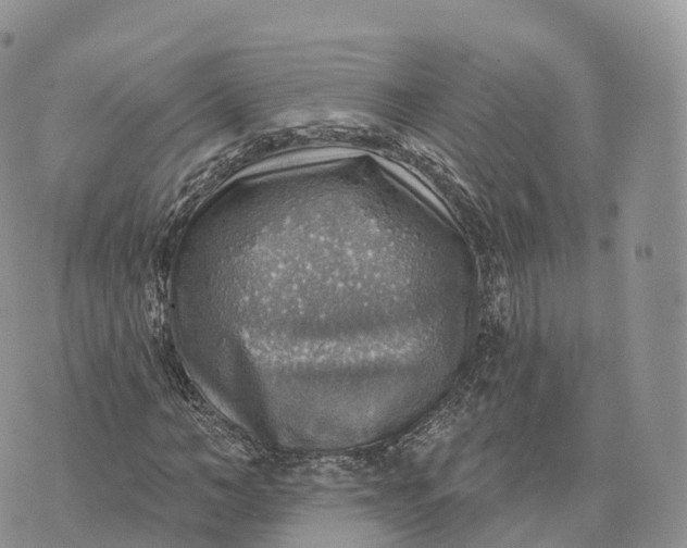 X0000072970966200608111712