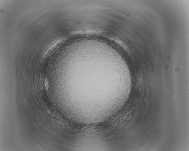 X0000072970967200608111712