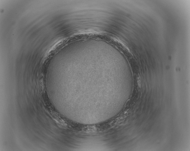 X0000072970968200608111712