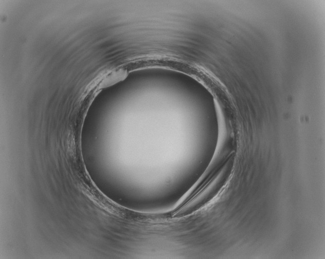 X0000072970969200608111712