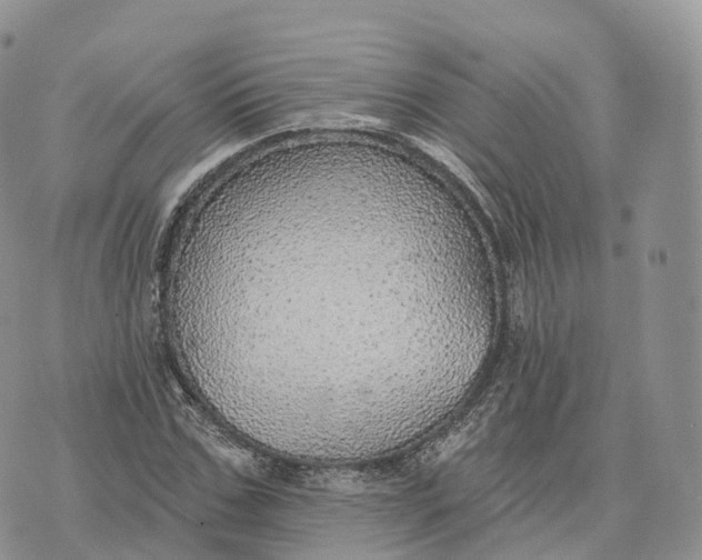 X0000072970971200608111712