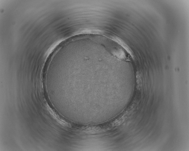 X0000072970972200608111712