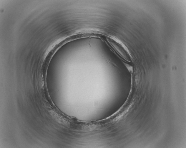 X0000072970973200608111712