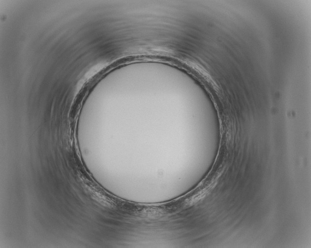 X0000072970974200608111712