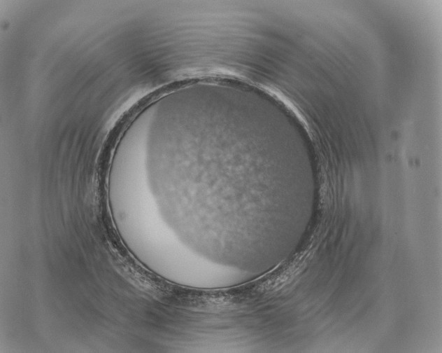 X0000072970975200608111712