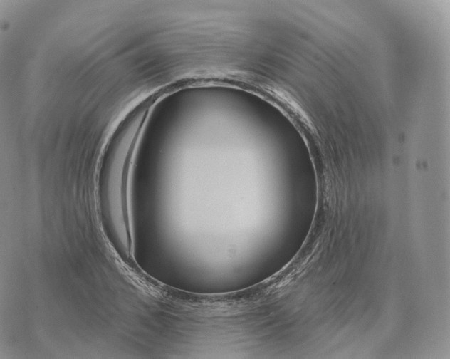 X0000072970976200608111712