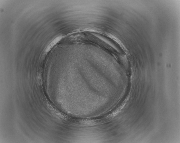 X0000072970977200608111712