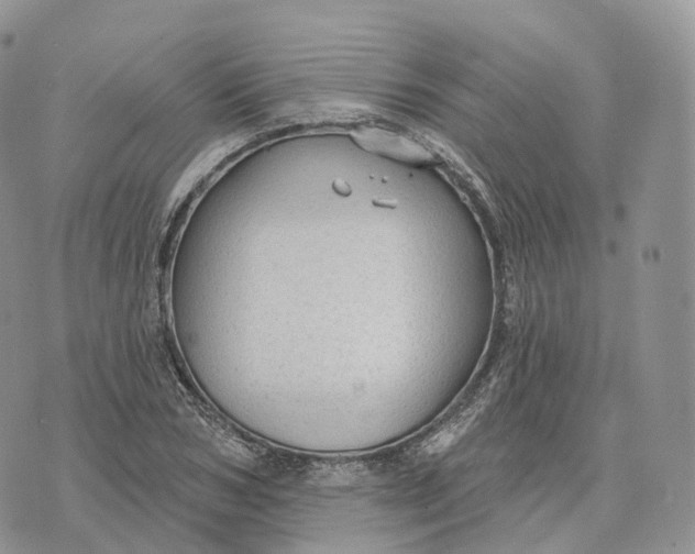 X0000072970978200608111712