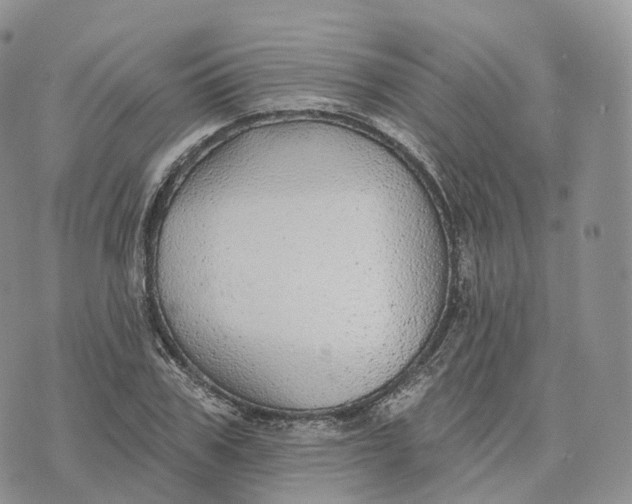 X0000072970979200608111712