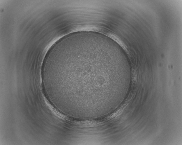 X0000072970980200608111712