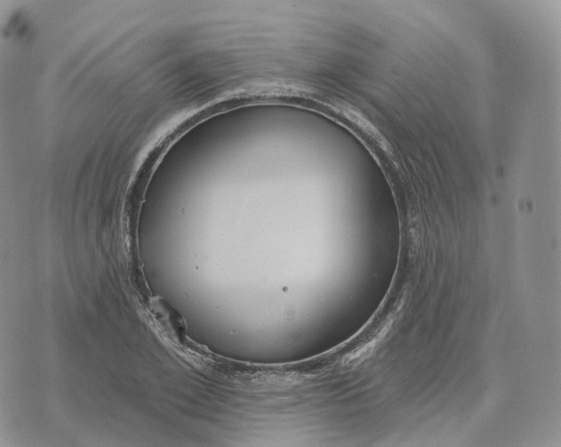 X0000072970981200608111712