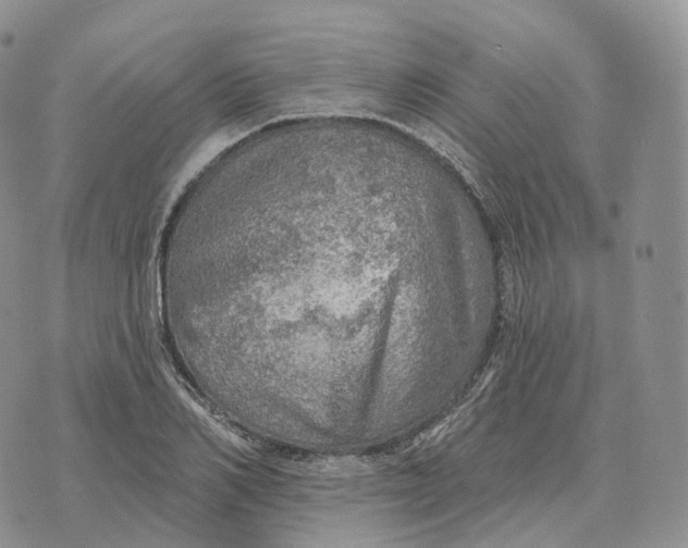 X0000072970982200608111712