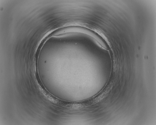 X0000072970984200608111712