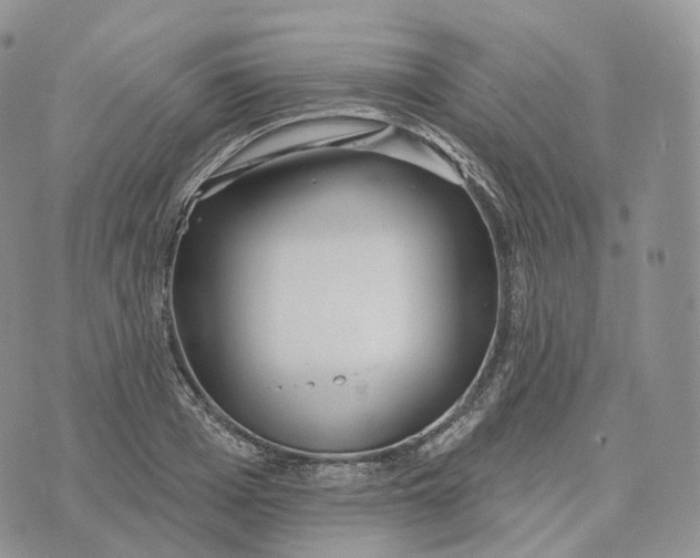 X0000072970985200608111712