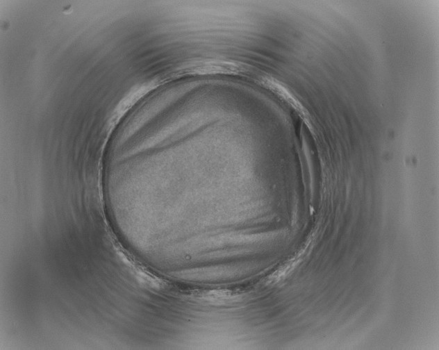 X0000072970986200608111712