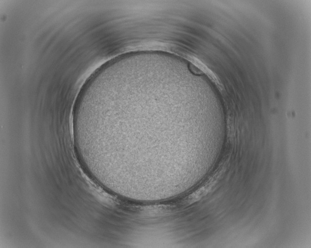 X0000072970988200608111711