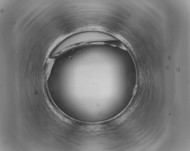 X0000072970989200608111711