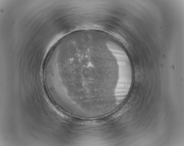 X0000072970990200608111711