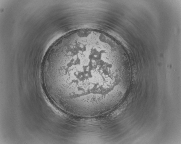 X0000072970991200608111711