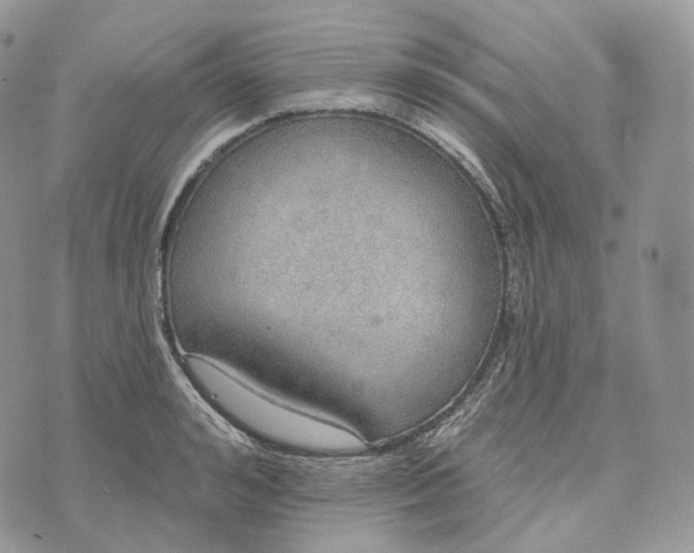 X0000072970992200608111711