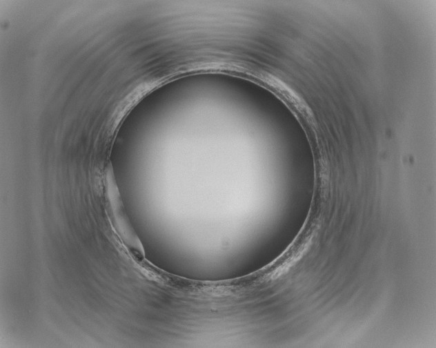 X0000072970993200608111711