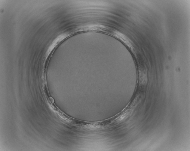 X0000072970994200608111711