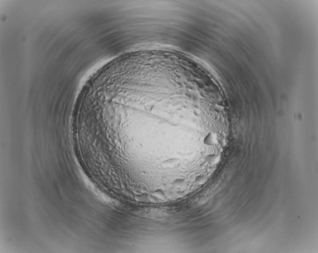 X0000072970995200608111711