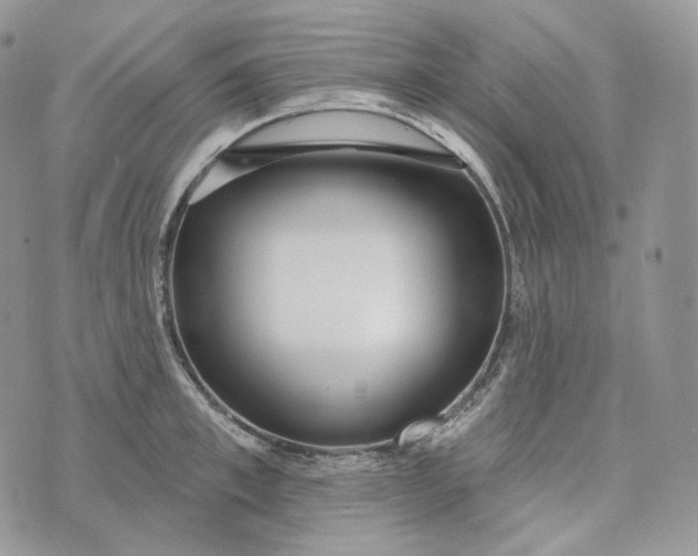 X0000072970997200608111711