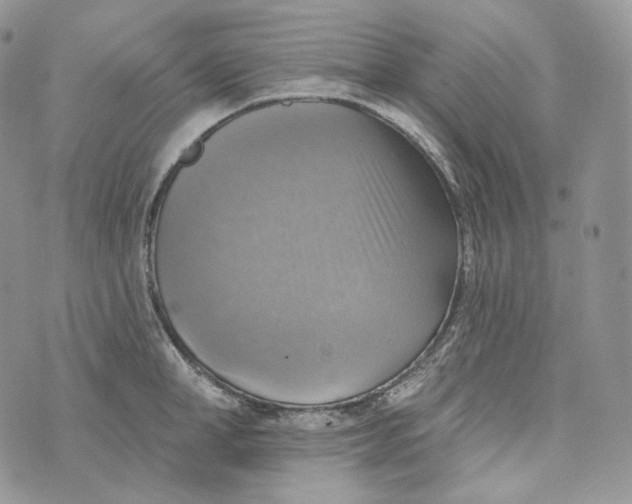 X0000072970998200608111711