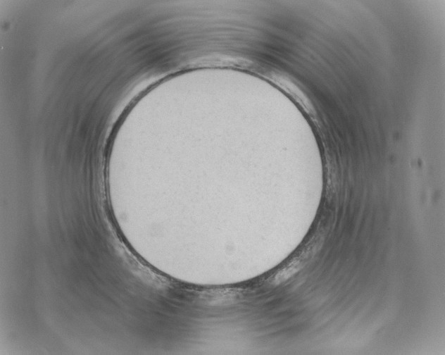 X0000072971000200608111711