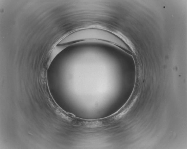 X0000072971001200608111711