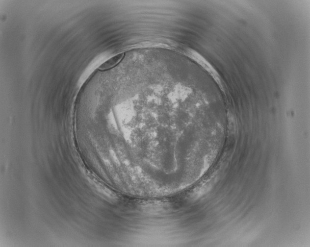 X0000072971002200608111711