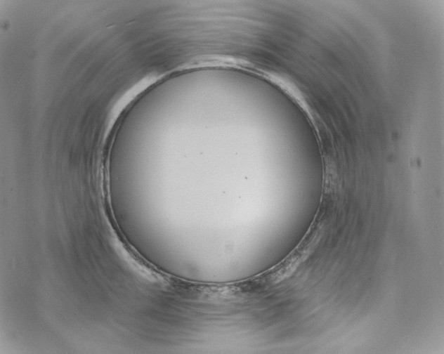 X0000072971003200608111711