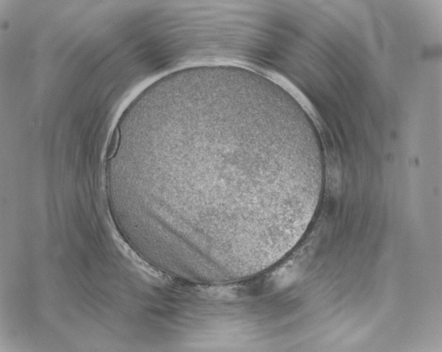 X0000072971004200608111711