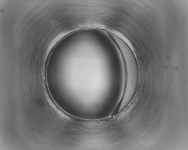 X0000072971005200608111711